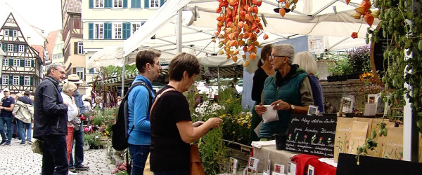 Pflanzenstand auf Umbrisch-Provenzischem Markt (Quelle: RIK)
