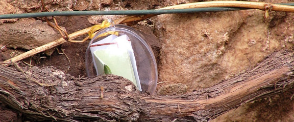 Literarische Ostereiersuche am H&ouml;lderlinturm (Quelle: RIK)